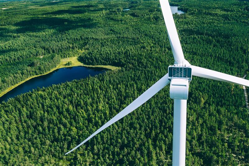 Wind power over a field of trees